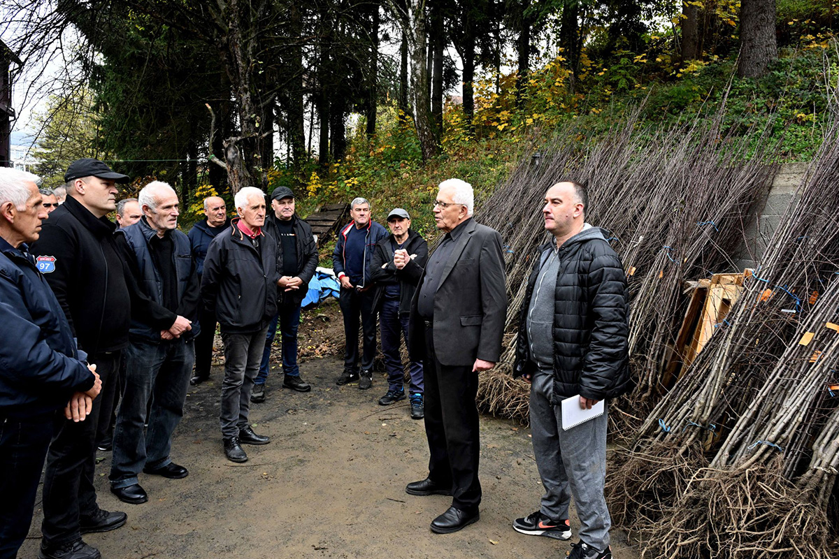 ДВАДЕСЕТА ПОДЕЛА ВОЋНИХ САДНИЦА У РАШКОЈ ОБЛАСТИ