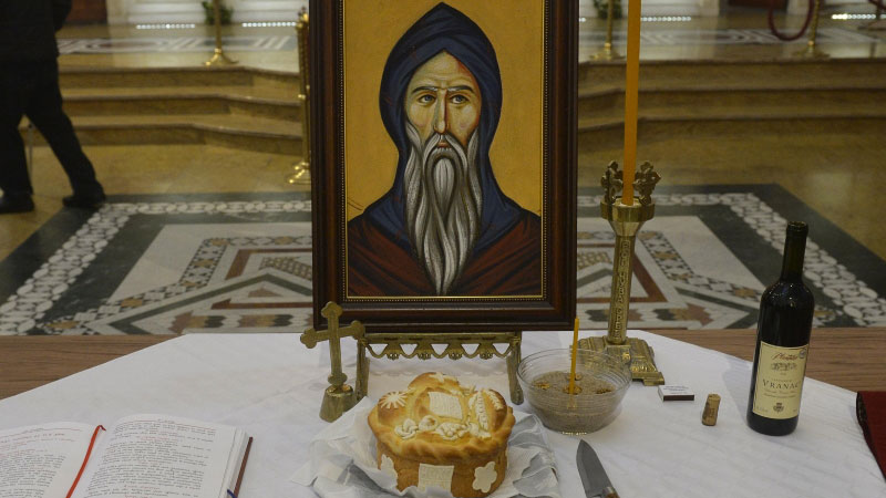 ХУМАНИТАРНА ОРГАНИЗАЦИЈА
