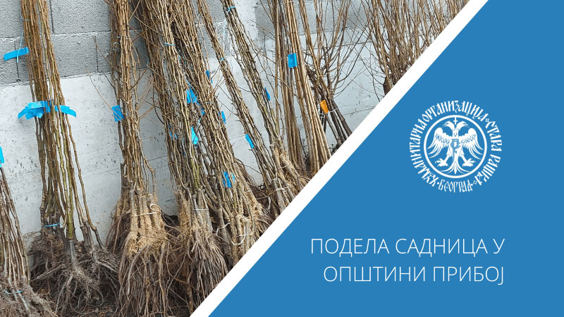 „СТАРА РАШКА“ И ДАЉЕ ПОМАЖЕ СЕЛО
