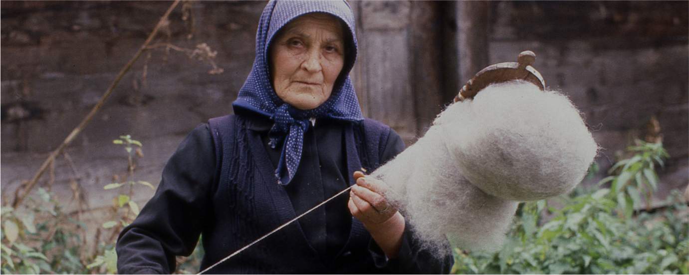 РАЗВОЈ СТОЧАРСТВА